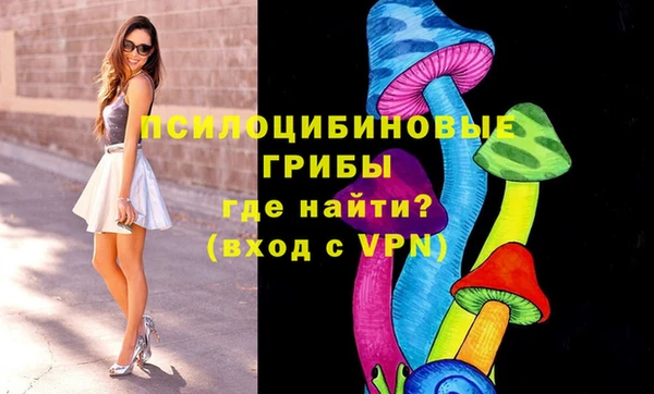не бодяженный Алексин