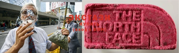 гидропоника Алзамай